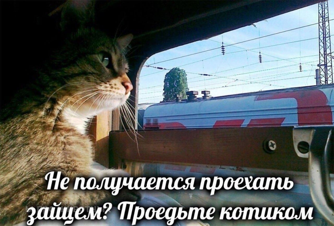 Смешные фотомемы на Бугаге (22 фото)