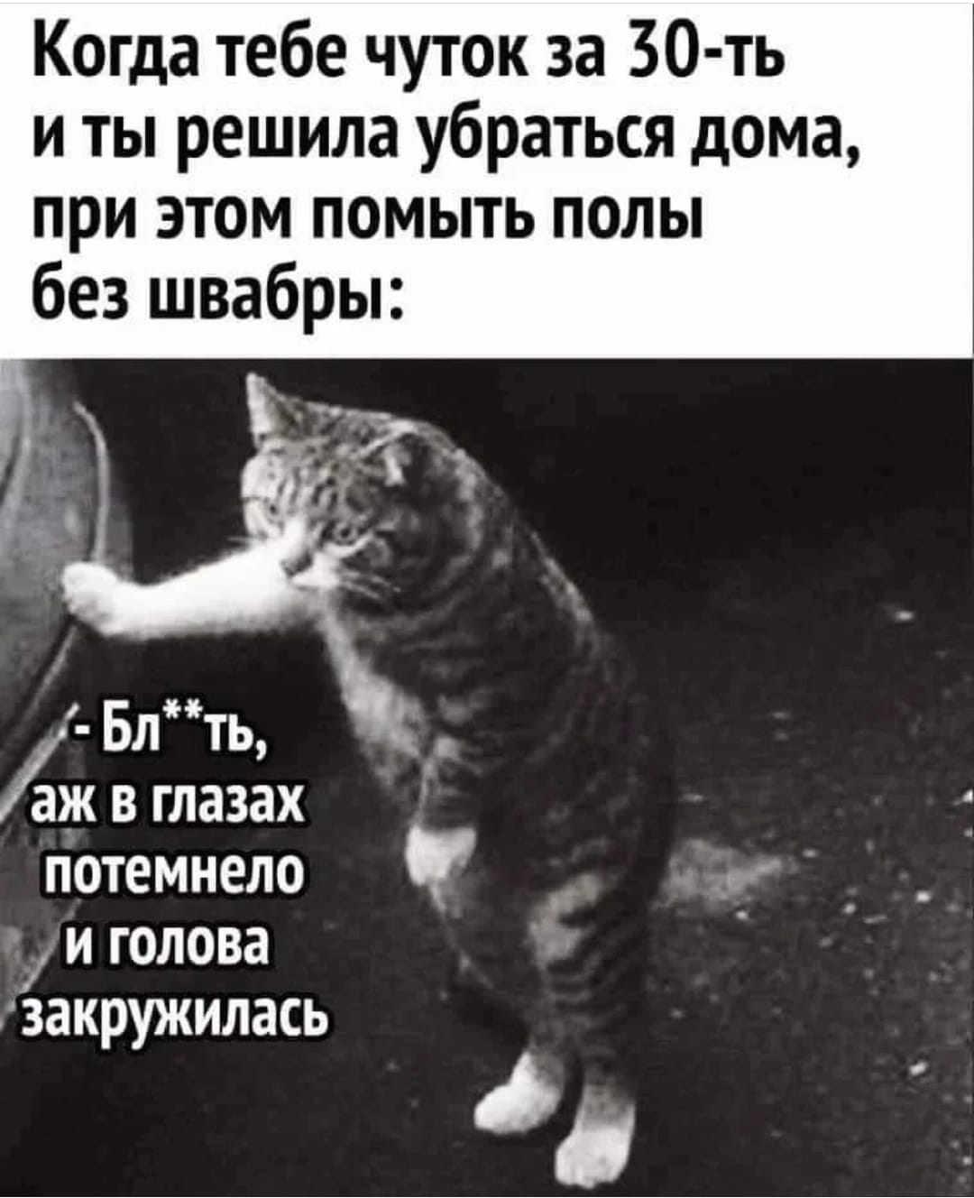 Подборка приколов (38 шт)