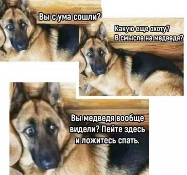 Прикольные фотомемы на Бугаге (21 шт)