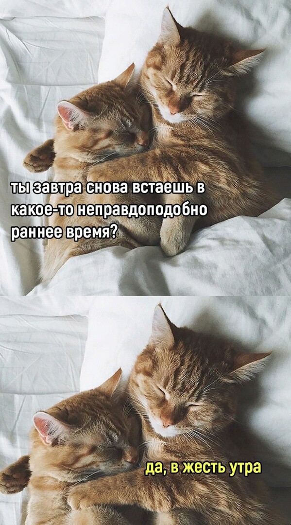 Прикольные мемы (24 фото)