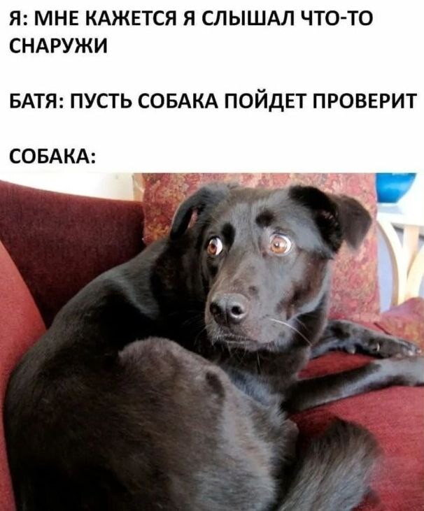 Новая порция фотомемов (19 шт)