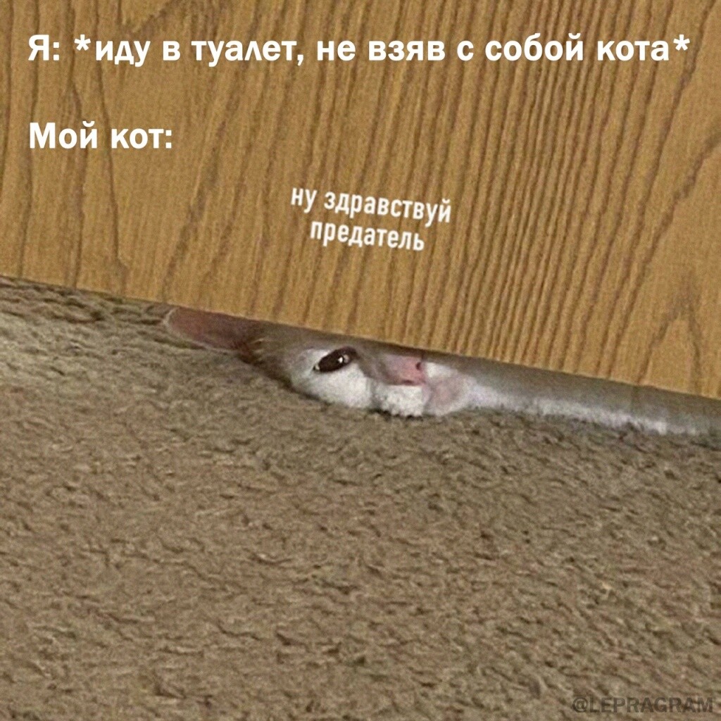 Прикольные мемы (24 фото)