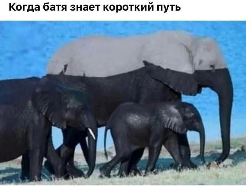 Новая порция фотомемов (19 шт)