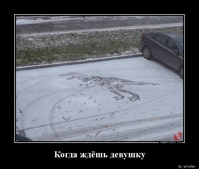 Свежий сборник демотиваторов (19 шт)