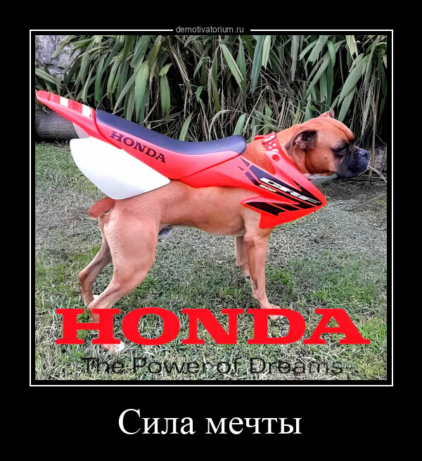 Новая порция демотиваторов (15 фото)