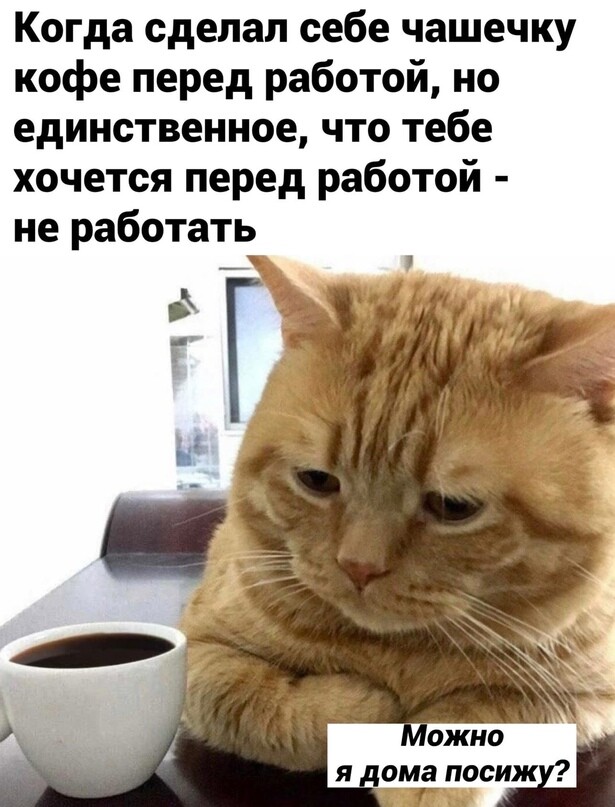 Прикольные мемы и не только (20 фото)