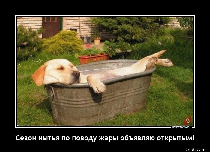 Свежих демотиваторов порция (16 шт)