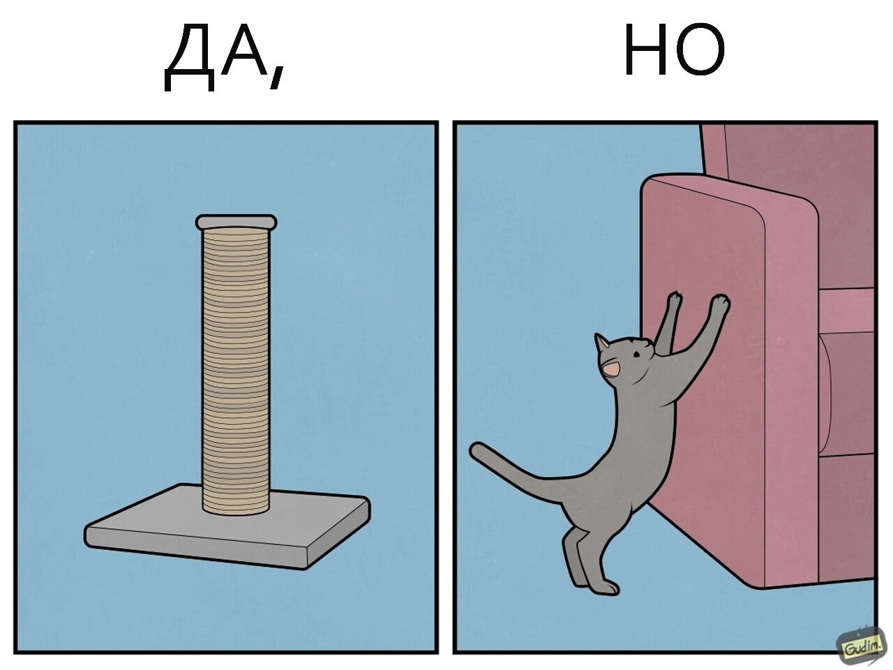 Немного о противоречивости котиков (6 фото)