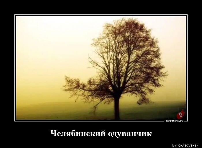 Демотиваторы для настроения (19 шт)