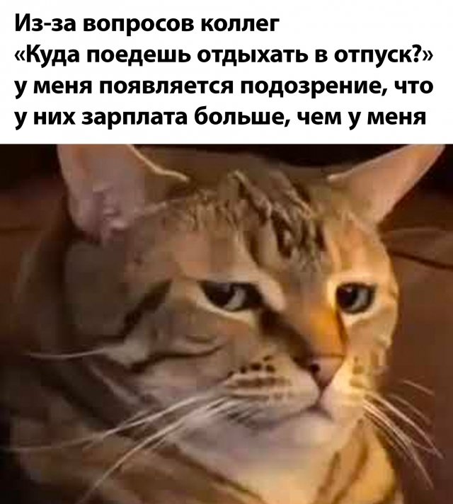 Прикольная подборка фото и картинок (43 шт)