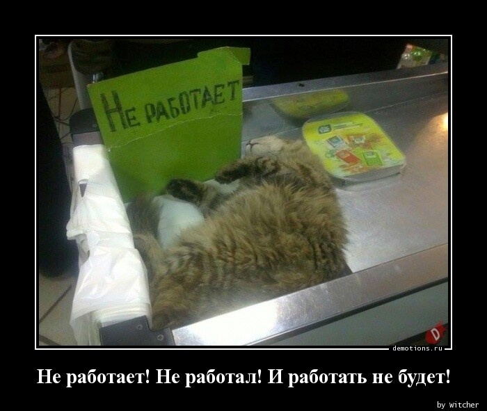 Прикольные демотиваторы (16 фото)