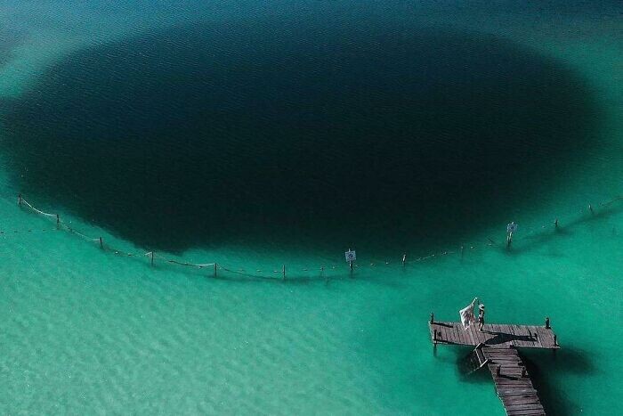 Фотографии, которые лучше не смотреть страдающим талассофобией (24 фото)