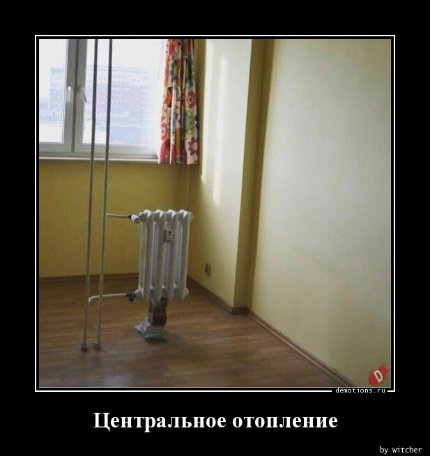 Свежие демотиваторы на Бугаге (17 фото)