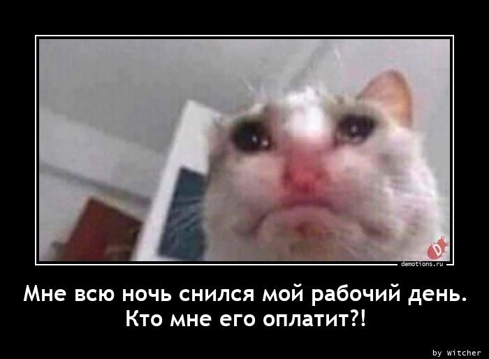 Демотиваторы для пятничного настроения (22 шт)