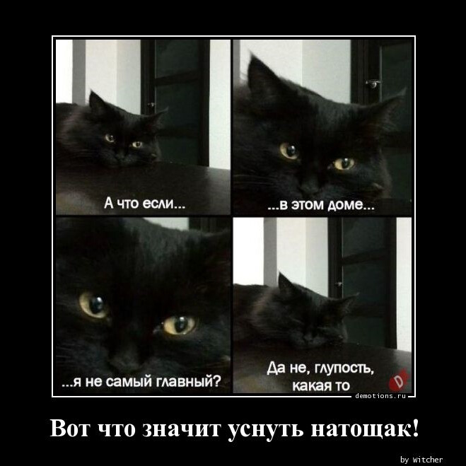 Демотиваторы для поднятия настроения (15 шт)