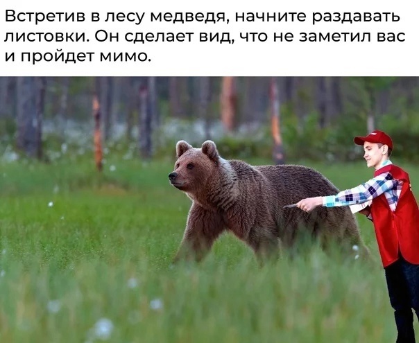 Прикольные картинки для настроения (45 фото)