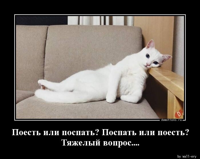 Свежая коллекция демотиваторов (19 шт)