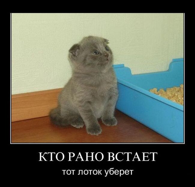 Прикольных демотиваторов сборник (15 фото)