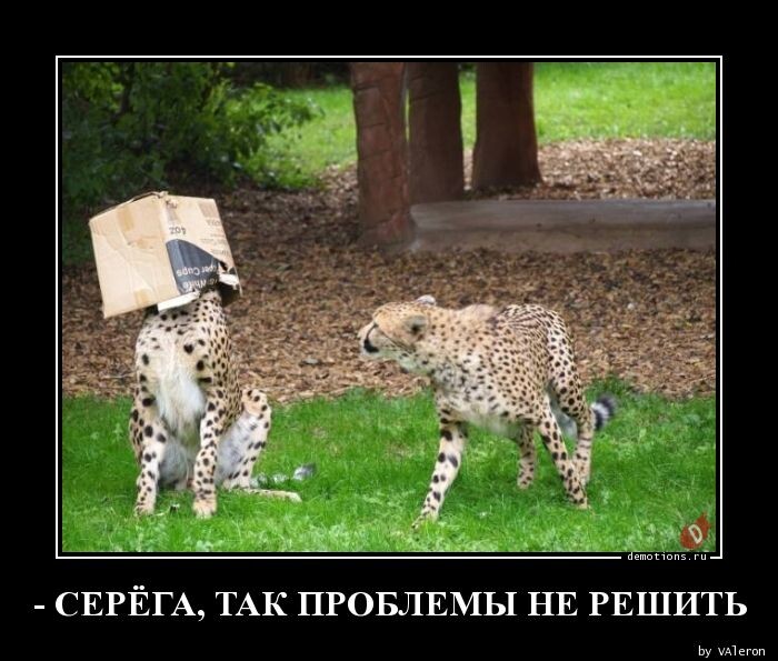 Демотиваторов порция (16 фото)