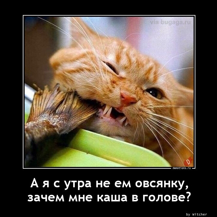 Демотиваторы для пятничного настроения (26 фото)