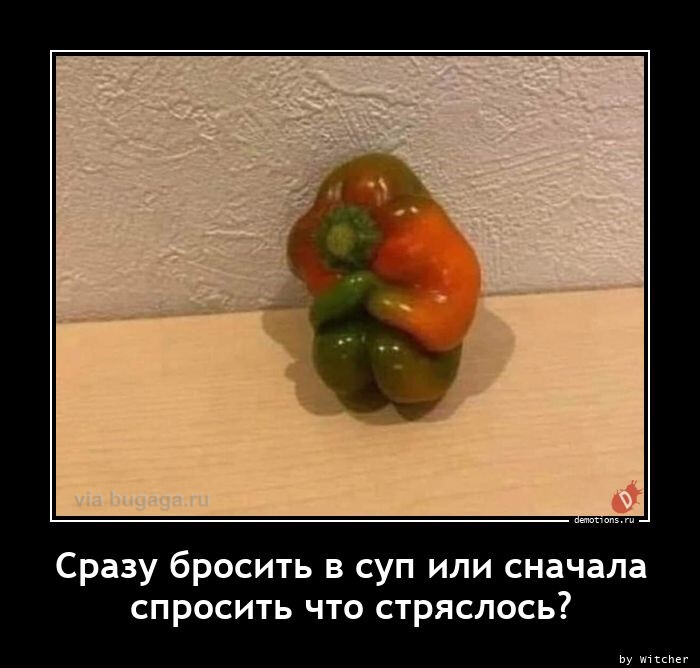 Демотиваторы свежие, прикольные (15 шт)