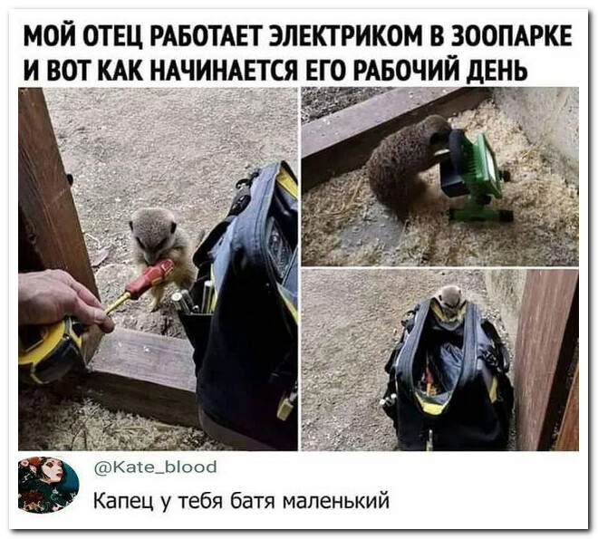 Прикольные комментарии из соцсетей (30 фото)