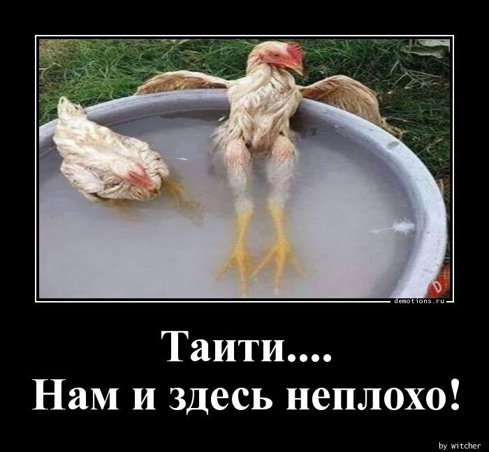 Демотиваторов пост (23 фото)