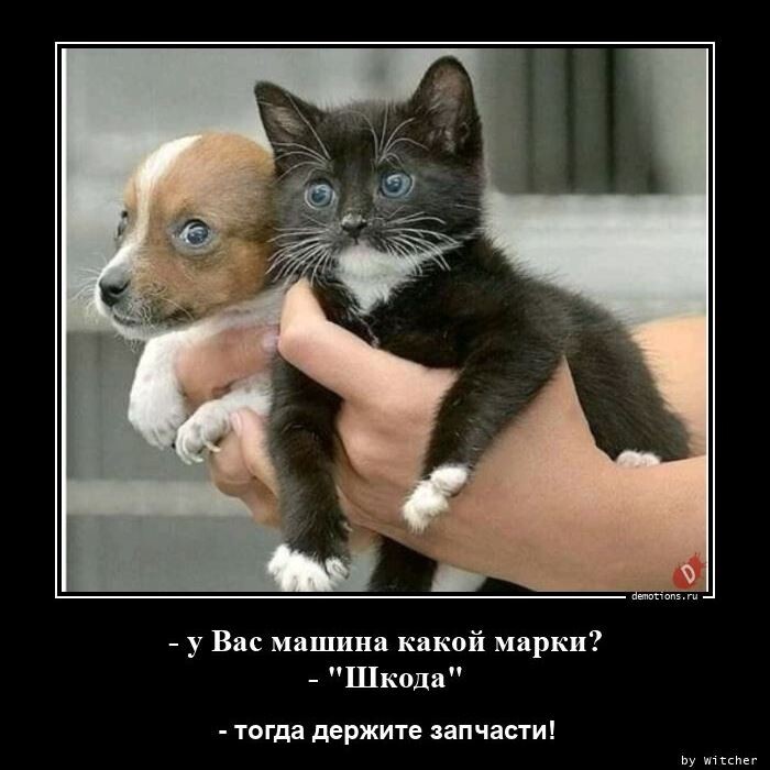 Прикольные демотиваторы для хорошего настроения (16 фото)