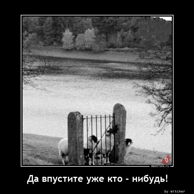 Демотиваторы-приколы для всех и каждого (19 фото)