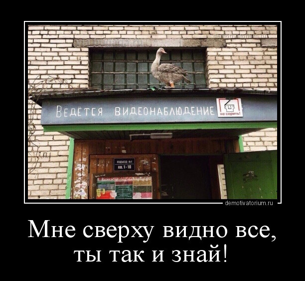 Новый сборник демотиваторов (17 фото)
