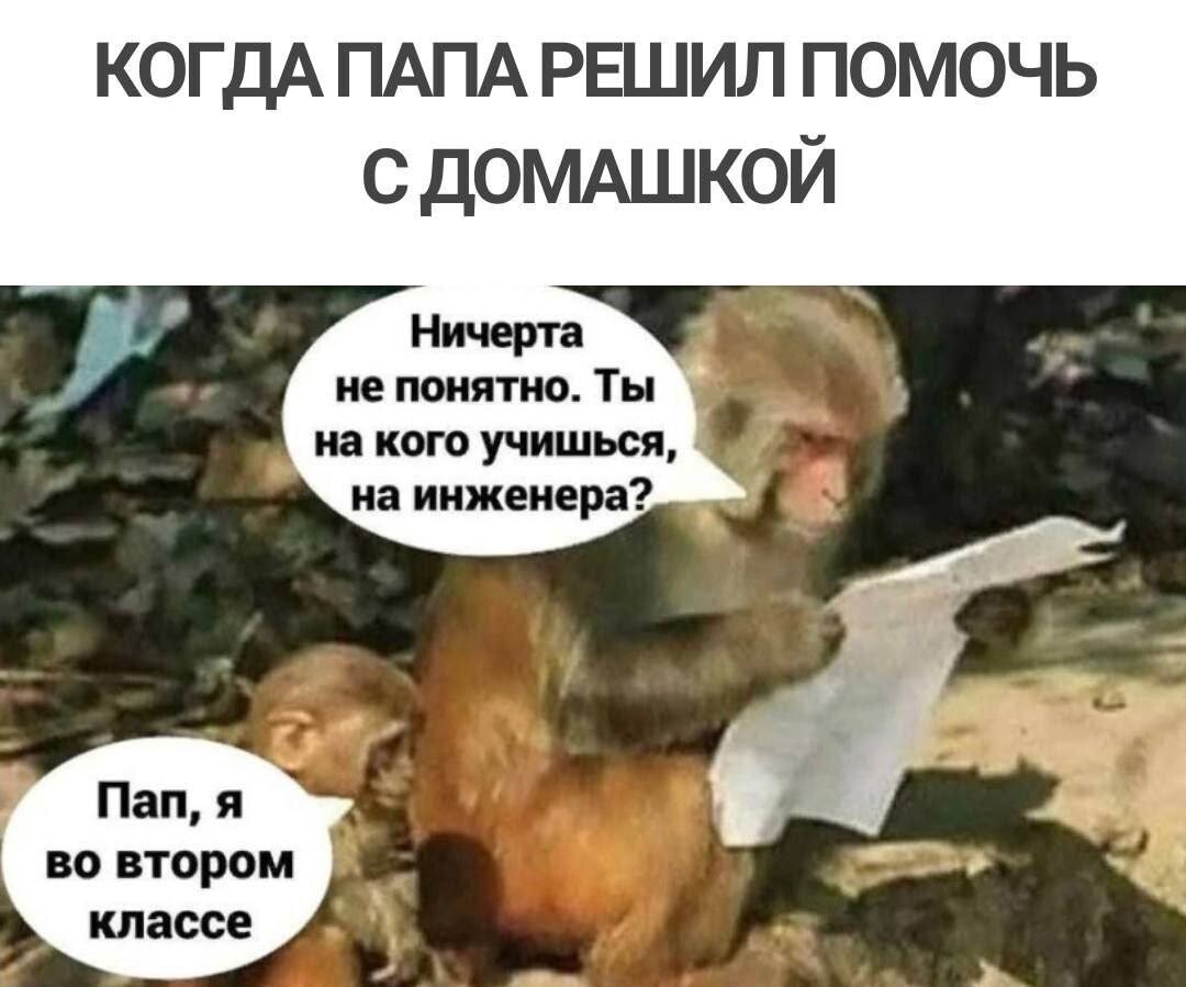 Свежая порция мемов (23 фото)