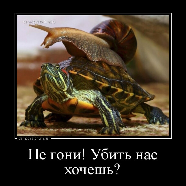 Демотиваторы для настроения (15 фото)