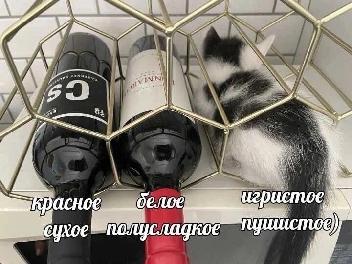 Новый сборник прикольных мемов (20 фото)