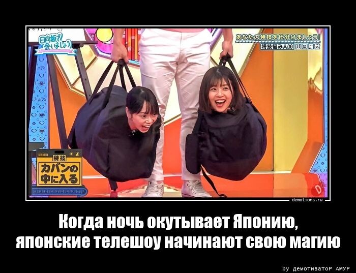 Демотиваторы-приколы (13 фото)