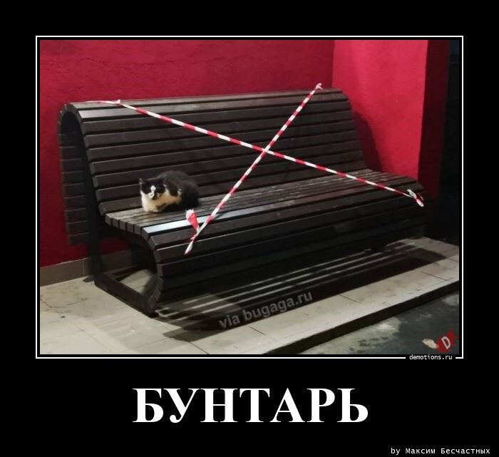 Демотиваторы на Бугаге (19 фото)