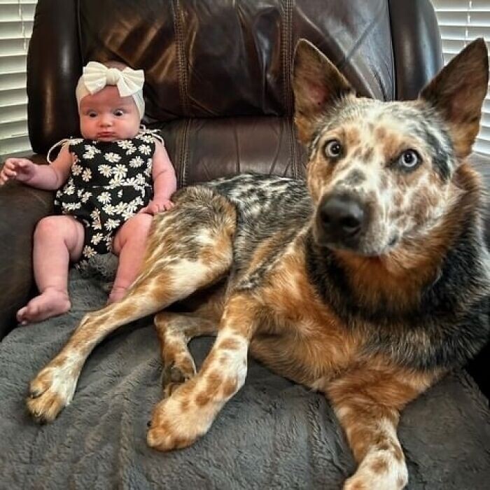 Смешные, забавные и трогательные семейные фотографии (15 шт)