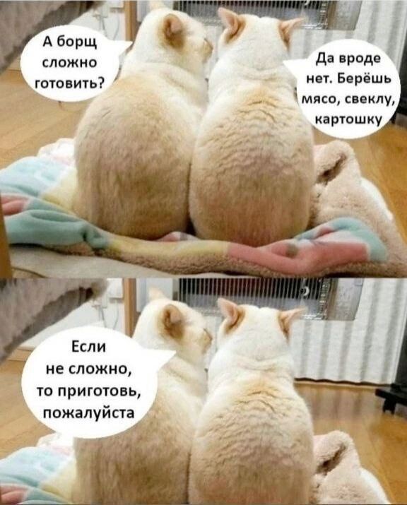 Новый сборник мемов на Бугаге (20 фото)