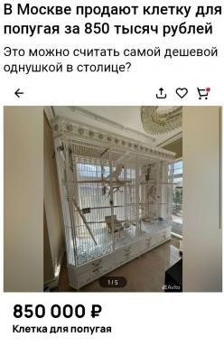 Прикольные мемы для хорошего настроения (22 фото)