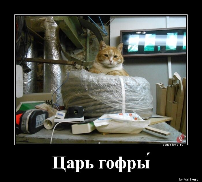 Сборник демотиваторов (17 фото)