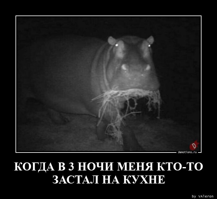 Демотиваторы для всех (13 фото)
