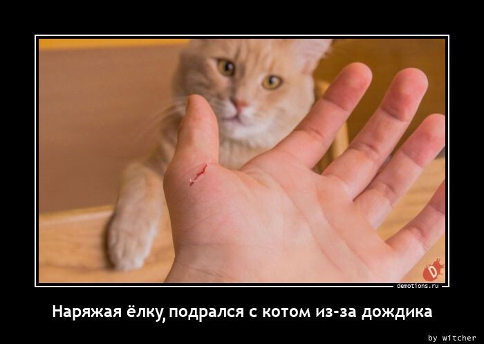 Демотиваторы хорошего дня (15 фото)