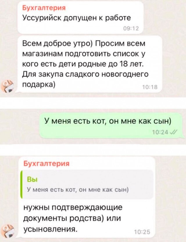 Как правильно организовать подарок на Новый год "от зайчика"... даже если у вас нет детей (3 фото)