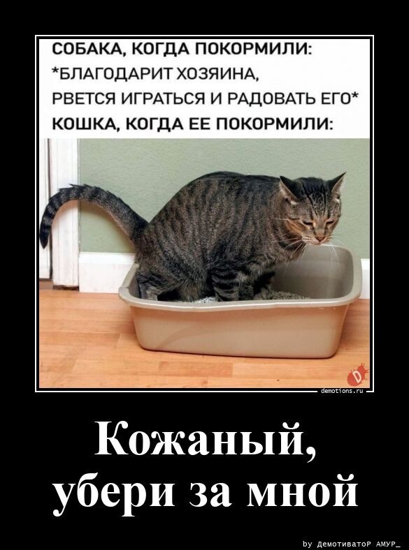 Демотиваторы для всех: Когда остались без Интернета (18 фото)