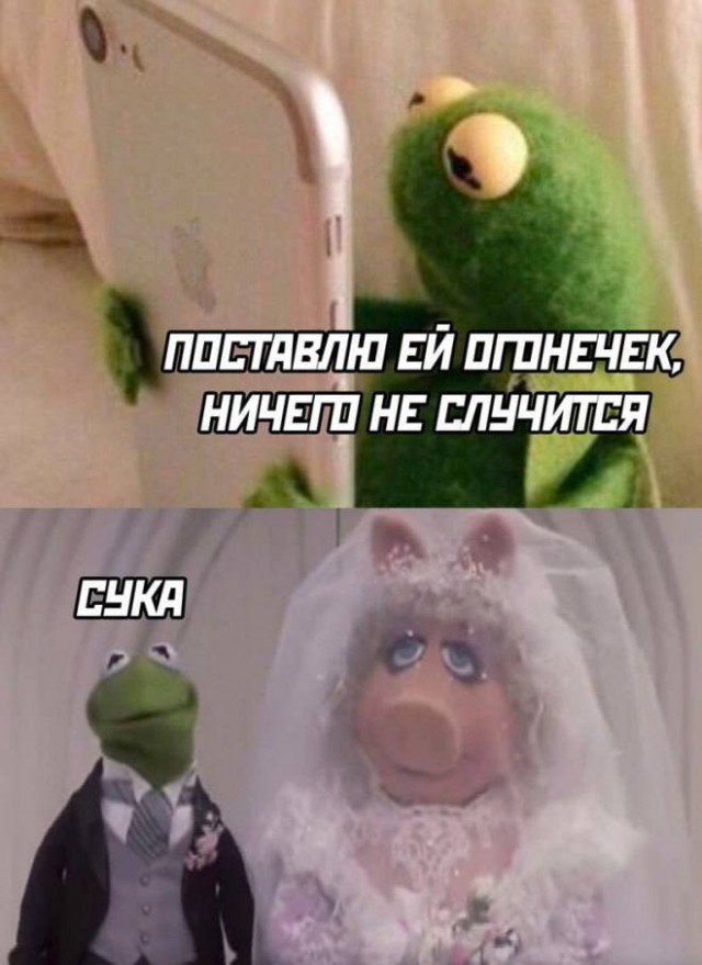 Подборка прикольных картинок и фото (28 шт)