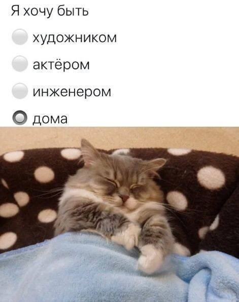 Мемы для отличного настроения (27 фото)