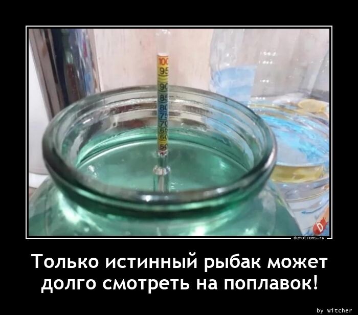 Демотиваторы дня: Только истинный рыбак может долго смотреть на поплавок! (17 фото)