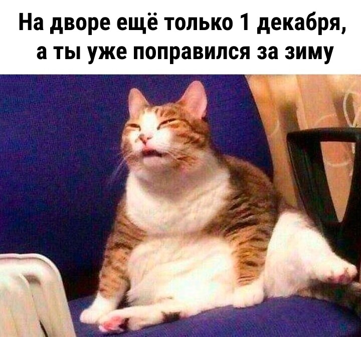 Мемы для отличного настроения (27 фото)