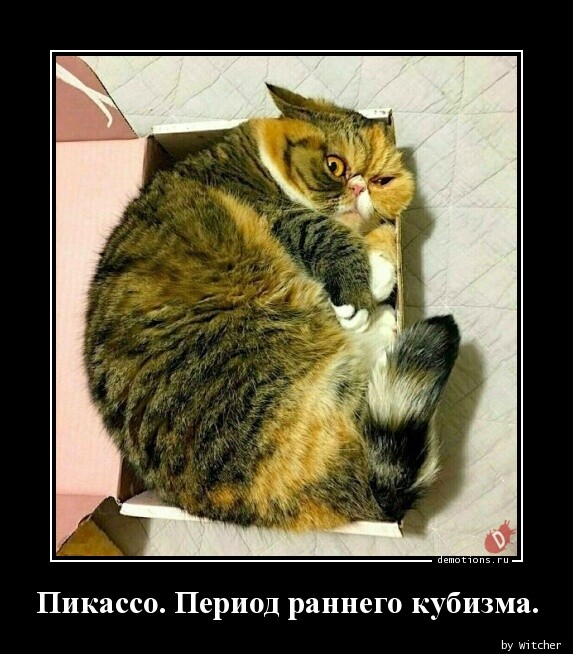 Предпятничные демотиваторы: Если бы жена неожиданно вернулась из командировки (15 фото)