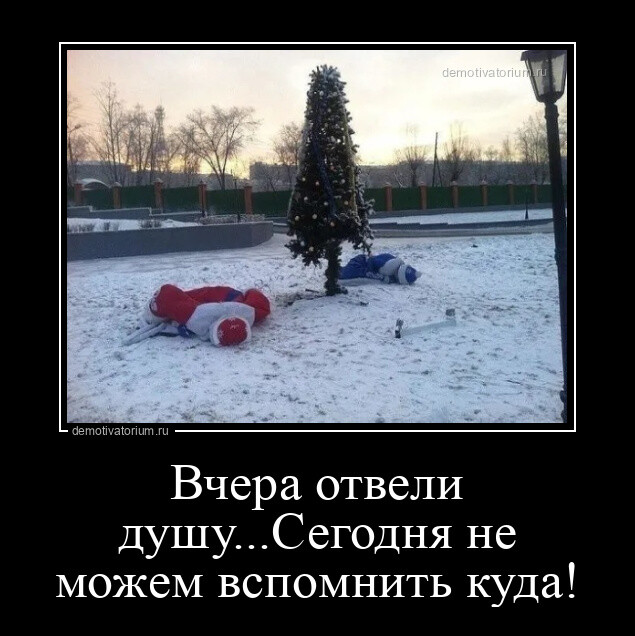 Демотиваторы дня: "Ёлку убрали…" (16 фото)