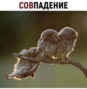 Свежая порция мемов: "Сейчас кофейку бахну и всё норм будет" (20 фото)